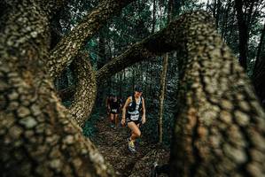 BIB: 
                            <button type="button" onclick="openModal(25674005)" class="btn btn-primary btn-sm float-right btn-popup" data-toggle="modal" data-target=".modal-high-quality">
                        <i class="fas fa-shopping-cart"></i> Add to Cart
                    </button>
                                            <button type="button" onclick="isThisMe(25674005, true)" class="btn btn-success btn-sm float-right btn-popup btn-isme hidden" data-toggle="tooltip" data-placement="bottom" title="นี่คือรูปของคุณใช่ไหม คลิกที่นี่เพื่อเอาเข้าอัลบั้ม">
                        <i class="fas fa-plus"></i> Add to album
                    </button>
                    <button type="button" onclick="isThisMe(25674005, false)" class="btn btn-warning btn-sm float-right btn-popup btn-isnotme hidden">
                        <i class="fas fa-ban"></i> Remove from album
                    </button>